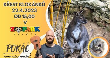 Křest klokánků v Zooparku Zelčín