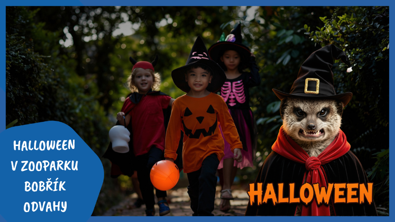HALLOWEEN V ZOOPARKU