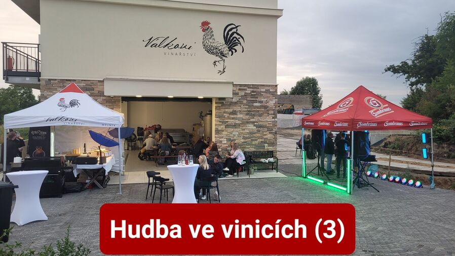 Hudba ve vinici!