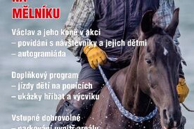 Plakát