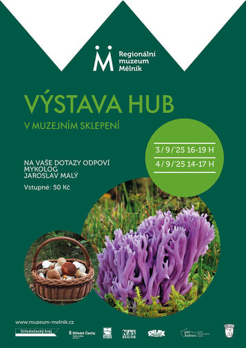 Výstava hub