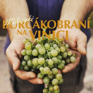 Burčákobraní 2026