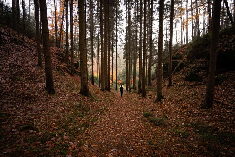 MIMOSEZÓNNÍ NOVINY pro návštěvníky Turistické oblasti Mělnicko-Kokořínsko