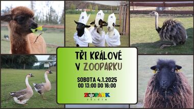 TŘI KRÁLOVÉ V ZOOPARKU 